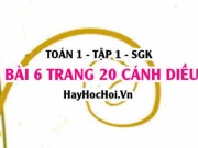 Bài 6 trang 20 Toán 12 tập 1 Cánh Diều